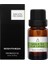 Basil&Tea Mum Esansı 10ML 1