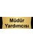 Müdür Yardımcısı 10X20CM Altın Renk Metal Yönlendirme Levhası 1