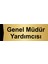 Genel Müdür Yardımcısı 10X20CM Altın Renk Metal Yönlendirme Levhası 1