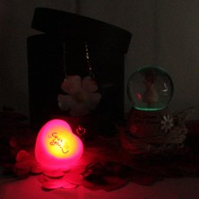 Moryconcept Kar Küresi Papatyalı Işıklı Müzikli Altın Kaplama Papatya Kolye Aşk Sözler Rafya Saman Gül Kuruları Çekmeceli Kutu Set Hediye