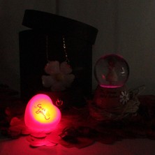 Moryconcept Kar Küresi Papatyalı Işıklı Müzikli Altın Kaplama Papatya Kolye Aşk Sözler Rafya Saman Gül Kuruları Çekmeceli Kutu Set Hediye