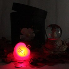 Moryconcept Kar Küresi Papatyalı Işıklı Müzikli Altın Kaplama Papatya Kolye Aşk Sözler Rafya Saman Gül Kuruları Çekmeceli Kutu Set Hediye