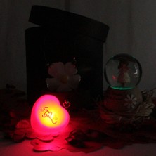 Moryconcept Kar Küresi Papatyalı Işıklı Müzikli Altın Kaplama Papatya Kolye Aşk Sözler Rafya Saman Gül Kuruları Çekmeceli Kutu Set Hediye