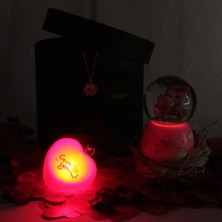 Moryconcept Kar Küresi Işıklı Müzikli Altın Kaplama Papatya Kolye 365 Gün Aşk Sözler Rafya Saman Gül Kuruları Çekmeceli Kutu Set Hediye