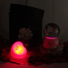 Moryconcept Kar Küresi Papatyalı Işıklı Müzikli Altın Kaplama Papatya Kolye Aşk Sözler Rafya Saman Gül Kuruları Çekmeceli Kutu Set