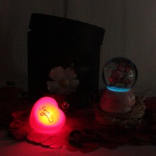 Moryconcept Kar Küresi Papatyalı Işıklı Müzikli Altın Kaplama Papatya Kolye Aşk Sözler Rafya Saman Gül Kuruları Çekmeceli Kutu Set
