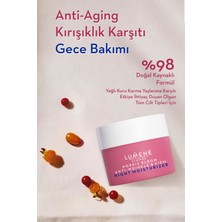 Lumene Anti-Wrinkle & Firm Night Moisturizer - &  Gece Bakım Kremi 50ML