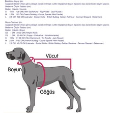 Guru Works Charlie Çiçek Aksesuarlı Köpek Boyun Tasması Kırmızı - Beyaz Medium