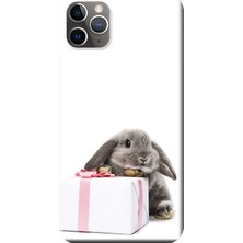 Hesaplı Dünya iPhone 11 Pro Kılıf Gri Tavşan Hediye Kutusu Baskılı Esnek Tpu SILIKON302