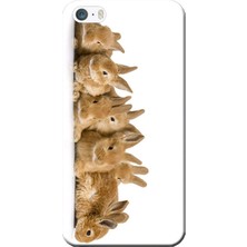 Hesaplı Dünya iPhone 5/5s Kılıf Tavşanlar Baskılı Esnek Tpu SILIKON2192