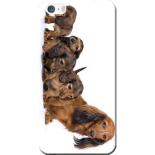 Hesaplı Dünya iPhone 5/5s Kılıf Yavru Köpekler Baskılı Esnek Tpu SILIKON2188