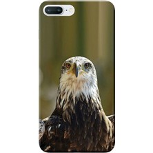 Hesaplı Dünya iPhone 7 Plus Kılıf Kartal Baskılı Esnek Tpu SILIKON3835