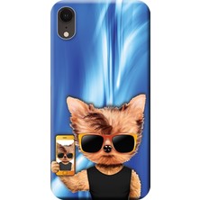 Hesaplı Dünya iPhone Xr Kılıf Kedi Cool Kedi Baskılı Esnek Tpu SILIKON5372