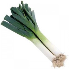 Mutlupaket Doğal Pırasa Fidesi (5 Adet)