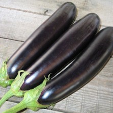 Mutlupaket Geleneksel Aydın Siyahı Patlıcan Fidesi (5 Adet)