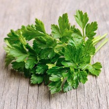 Mutlupaket Yeşil Mucize Iri Yapraklı Maydanoz Fidesi(5 Adet)