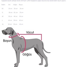 Guru Works Lemonade Fiyonk Papyon Aksesuarlı Köpek Boyun Tasması Small