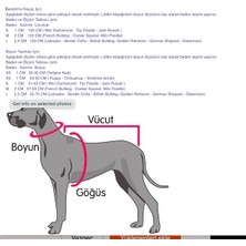 Guru Works Lucy Fiyonk Papyon Aksesuarlı Köpek Boyun Tasması M