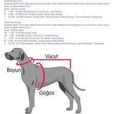 Guru Works Cherry Papyon Fiyonk Aksesuarlı Köpek Boyun Tasması Medium