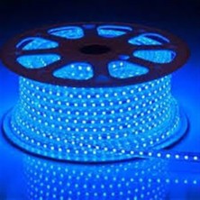 Cata 5 Metre Ct 4551 Cata 3 Çip Dış Mekan Hortum Şerit LED Mavi 220V