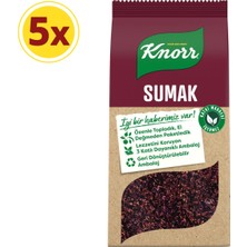 Knorr Baharat Serisi Sumak 70 gr x 5 Adet