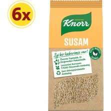 Knorr Baharat Serisi Susam 65 gr x 6 Adet