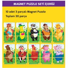 Yükselen Zeka +2 Yaş Magnet Puzzle