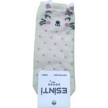 Esinti 12 Çift Kedi Desenli Patik Çorap