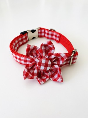 Guru Works Charlie Çiçek Aksesuarlı Köpek Boyun Tasması Kırmızı - Beyaz Medium