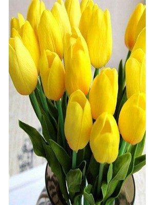 Fide Marketim 2 Adet Hollanda Lale Soğanı Sarı