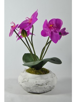 Lilac Home Mermer Görünümlü Dünya Saksıda Islak Orkide Aranjmanı