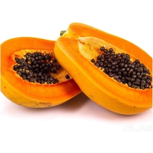 Mutlupaket Tüplü Papaya (Ağaç Kavunu) Fidanı (40-90 Cm)