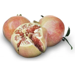 Mutlupaket Tüplü Tatlı Devedişi Nar Fidanı