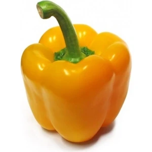 20 Adet Tohum Saksılık Sarı Dolmalık Bibiber Tohumu Saksı Toprak Sürpriz Hediye Tohumludur