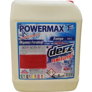 Professional Derz Temizleyici Mavi Su 5 lt