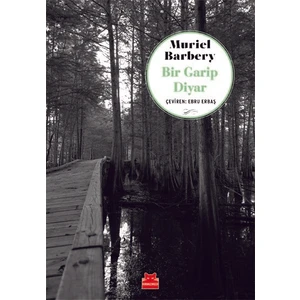 Bir Garip Diyar - Muriel Barbery