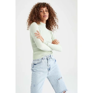 Slim Fit Yarım Balıkçı Yaka Basic Fitilli Triko Kazak L8848AZ21AU