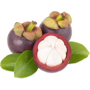 Sebze Meyve Dünyası Mangosten 2'li