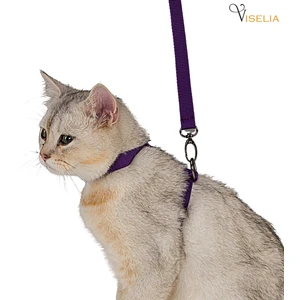 Kedi Tasması Boyun Göğüs Ayarlanabilir Sevk Kayışlı Gezdirme Seti