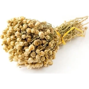 2 Demet Kurutulmuş Üzerlik Otu Nazarlık Tütsü Otu Yeni Mahsül Nazar Otu Mis Kokulu Tütsü