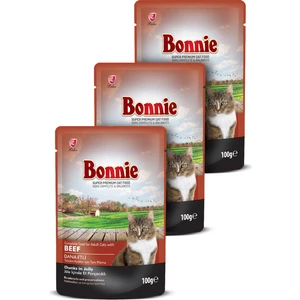 Pouch Yetişkin Kedi Maması - Dana Etli - 3 Adet