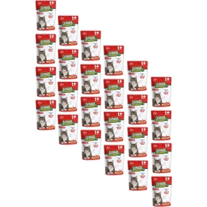 Pouch Gravy Soslu Biftekli Yaş Kedi Maması 100 gr 24 Adet