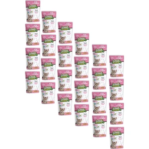 Pouch Kitten Junior Tavuklu Yavru Kedi Maması 100 gr 24 Adet