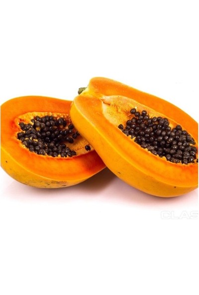 Mutlupaket Tüplü Meyve Verebilecek Papaya (Ağaç Kavunu) Fidanı (150-200 Cm)