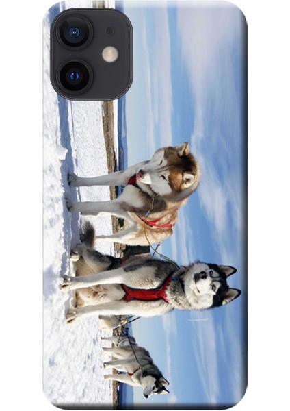 iPhone 12 Mini Kılıf Kızak Husky Eskimo Köpek Baskılı Esnek Tpu SILIKON1219