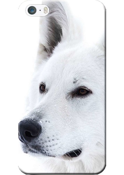 iPhone 5/5s Kılıf Beyaz Kurt Baskılı Esnek Tpu SILIKON2187