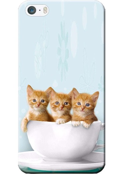 iPhone 5/5s Kılıf Sevimli Yavru Kediler Baskılı Esnek Tpu SILIKON2212