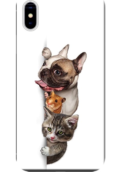 iPhone x Kılıf Animals Baskılı Esnek Tpu SILIKON4967