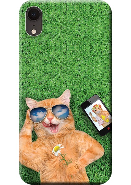 iPhone Xr Kılıf Sevimli Sarı Kedi Baskılı Esnek Tpu SILIKON5364