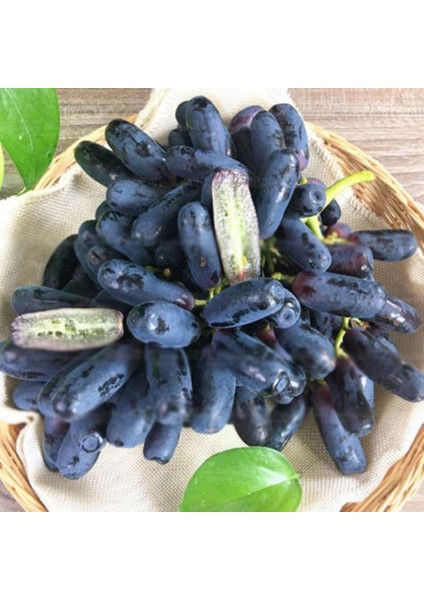Tüplü Çekirdeksiz Black Finger Parmak Üzüm Fidanı